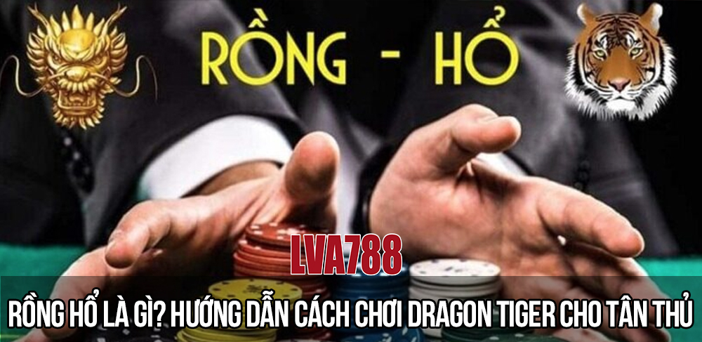 Rồng Hổ là gì? Hướng dẫn cách chơi Dragon Tiger cho tân thủ